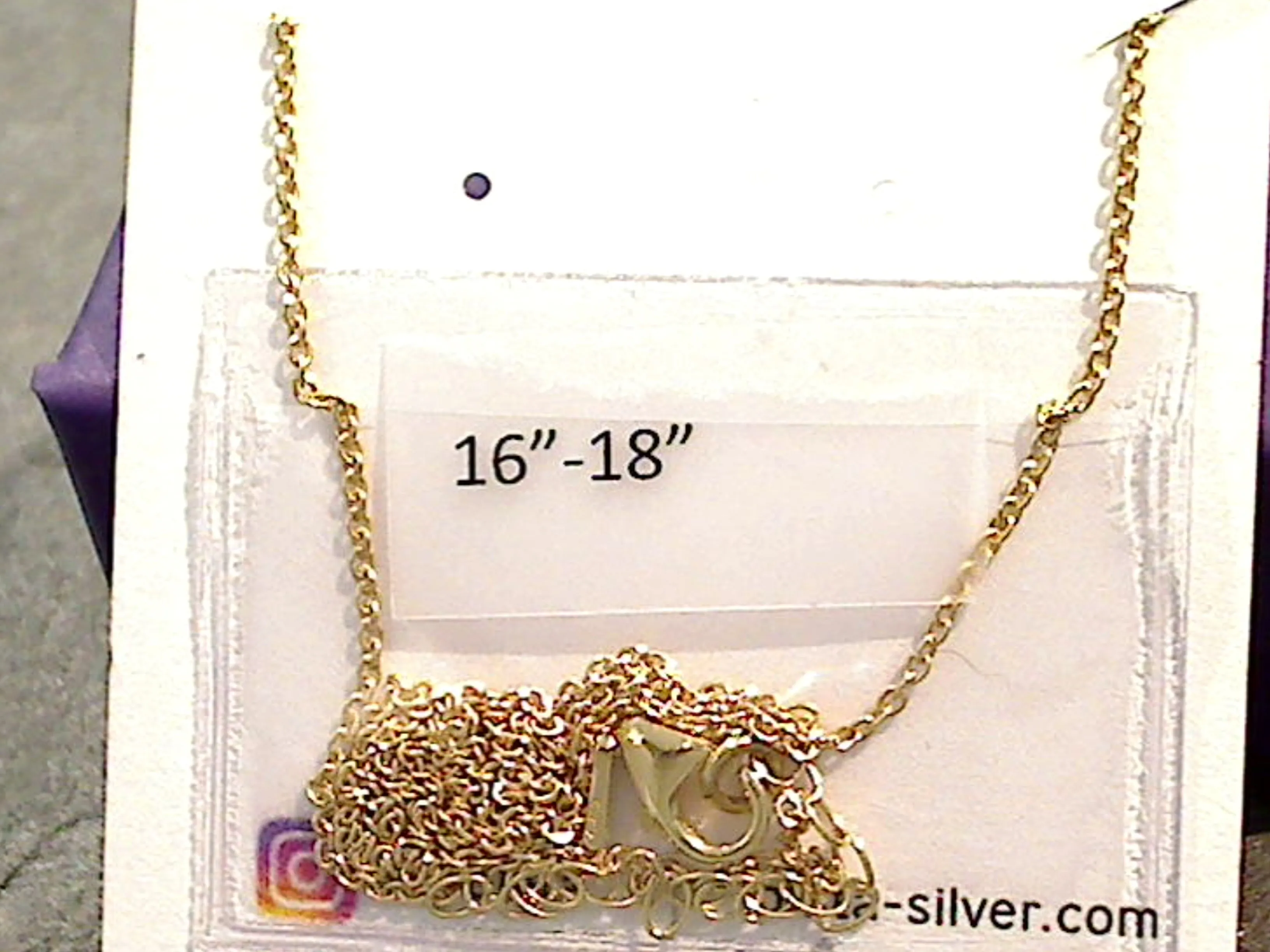 16" - 18" Gold Plated Sterling Capricorn Zodiac Necklace