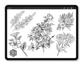 Botanicals Vol. 2